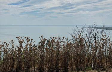 "Lawendowe Wzgórze" - Foto 57