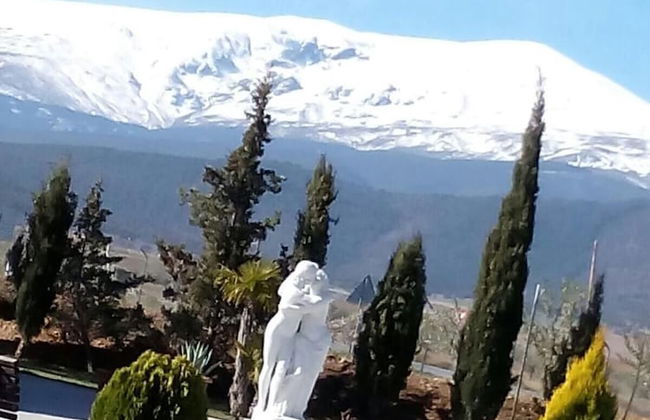 La Hacienda del Marquesado - Photo 41