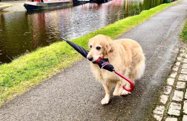 Central Apartment Linlithgow - Foto 40