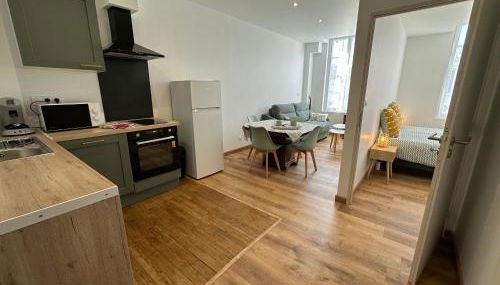 Chez Camille & Emma - Hyper Centre Climatisé - Foto 2