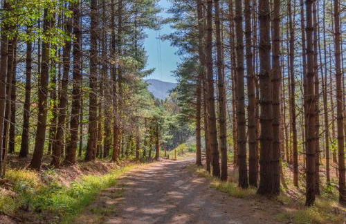 Hot Tub, Fire Pit Waynesville Getaway Near Hiking - Foto 40
