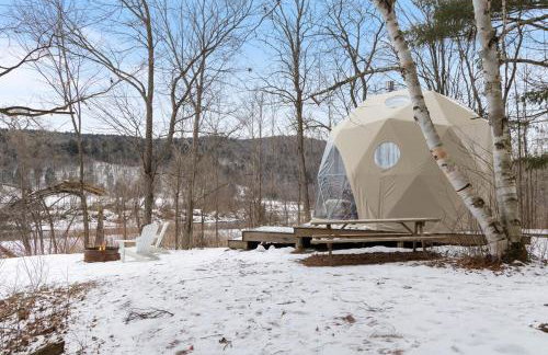 Johnson Dome - Foto 51