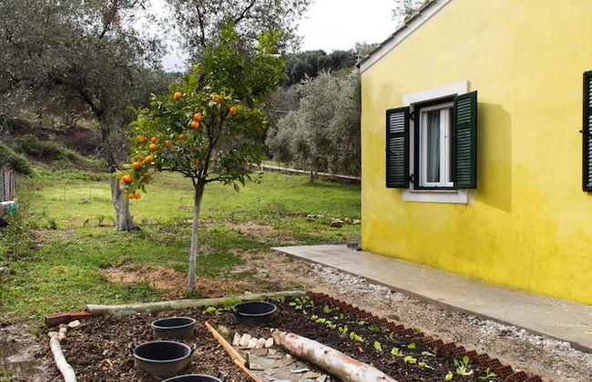 Cute Yellow Handmade House With Garden - Foto 57