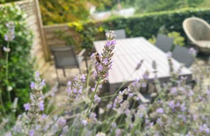 Honeypot Cottage - Photo 30