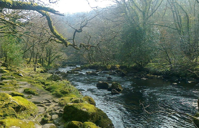 Courtbrook Farm Apartments - Foto 27