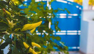 Appartamenti Rosa dei Venti - Foto 2