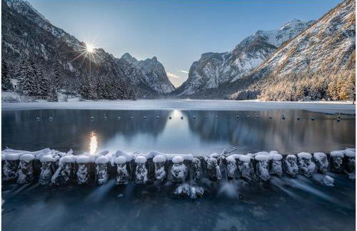 Berggut Niggler - Pratum - Foto 53