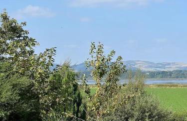 The Furze Farmhouse near St Andrews - Photo 29