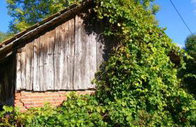 Camp Warmia - Foto 59