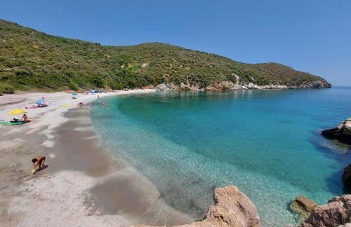 Seagulls - Within walking distance from sea! - Foto 55