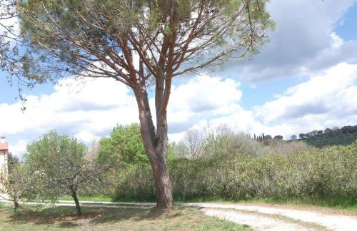 Casa Vacanze Valdicciola - Foto 33