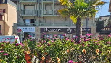 Plazza front de Mer - Photo 3