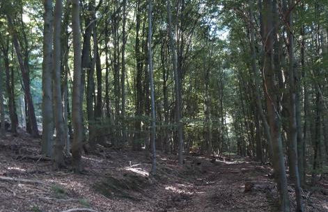 Appartement an der Bicke - Foto 43