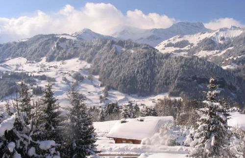 CHALET LA LICORNE 1 - pied des pistes - Photo 8