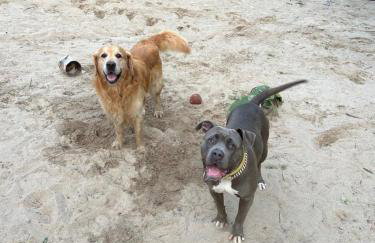 Pod Kogutem i Sową - Bio Wioska z domkami Premium w góralskim stylu VIP - Foto 77