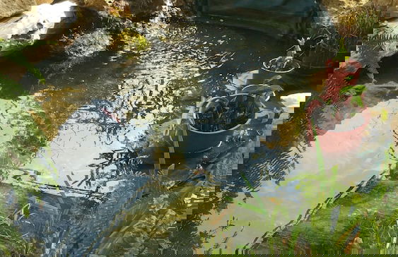 Los Arcos de Barasona - Foto 34