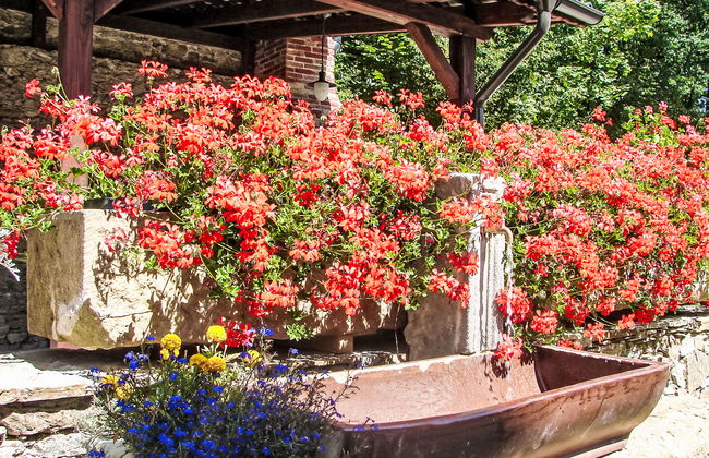 2 bedroom House in Lubomierz with private pool and garden - Photo 26