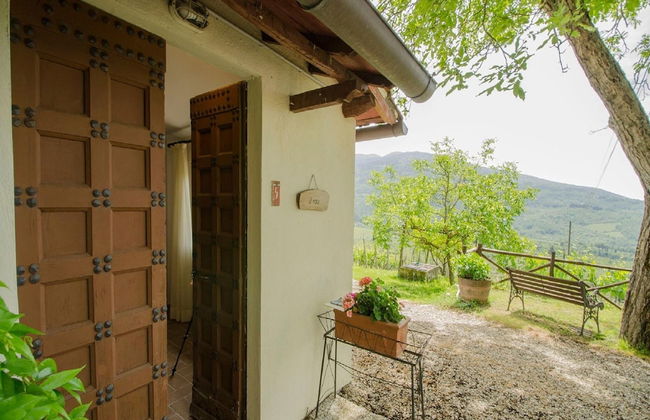 Agriturismo Poggio di Montepescoli - Il Noce - Foto 18