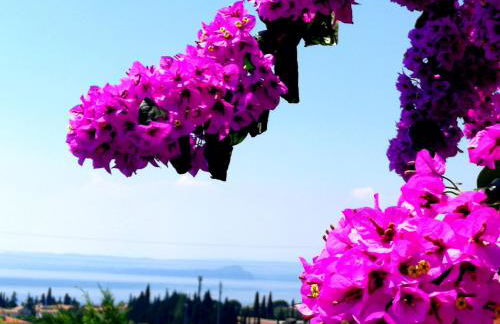 Casa Sabina - Foto 50