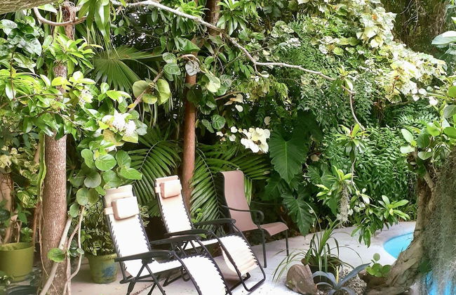 Unique Art Nature Hideaway Walkable to Wilton Drive - Foto 27