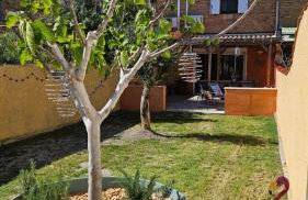 Camargue - La Saline Forézienne - Salin-de-Giraud - Photo 8