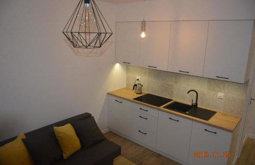 Apartament Royal Place 19 II - Foto 14