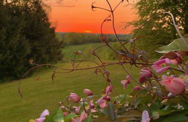 Ferienwohnung Unter Reet in Grebin - Foto 17