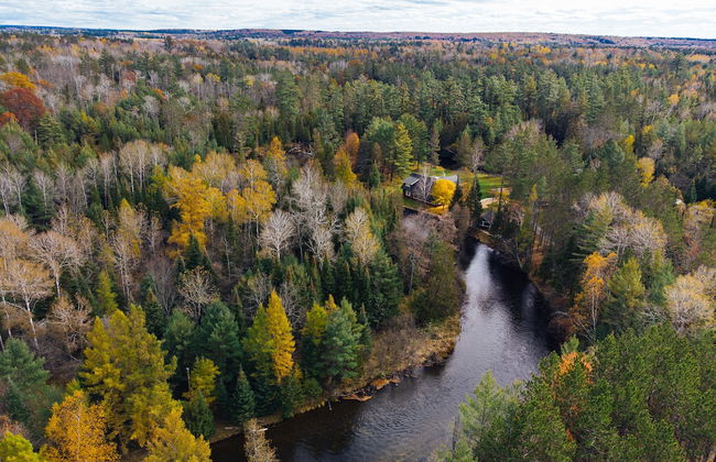 Uncle Tom's 3BDR Cabin For Nature Lover - Foto 70