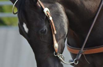 Pietra Cavalla - Ranch & Resort - Foto 60