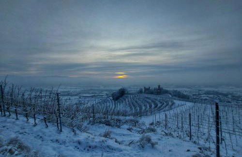 FeWo Zeller Waldblick - Foto 18