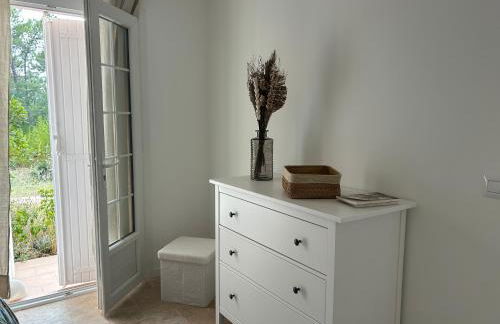 Villa proche Golfe de St Tropez - Foto 49