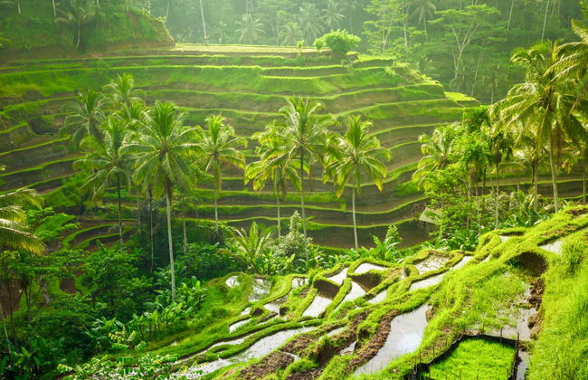 Tour privato di Ubud - Foto 7