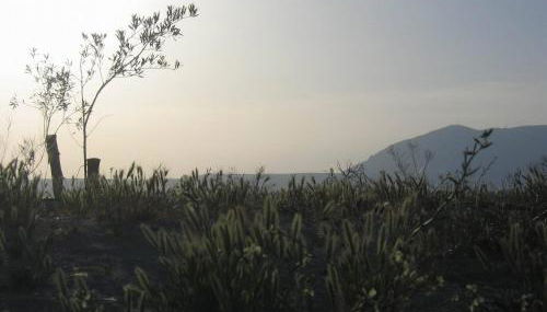 Cuevas Alcobas - Photo 3