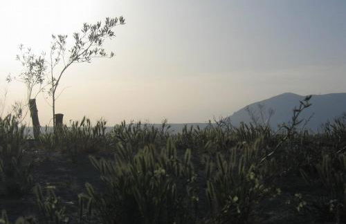 Cuevas Alcobas - Photo 3