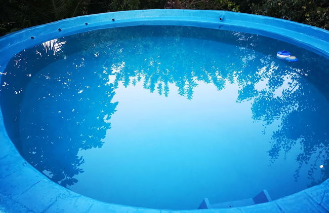 Country House in the Su Gologone Area 30 km From Cala Gonone 5 km From Oliena - Photo 75