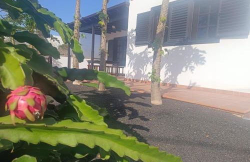 Casa Pacuco - Foto 22