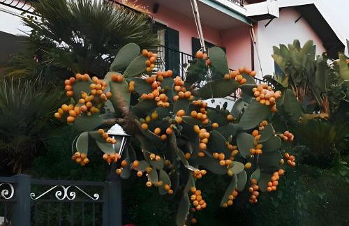 Villa Bella Vista - Foto 6