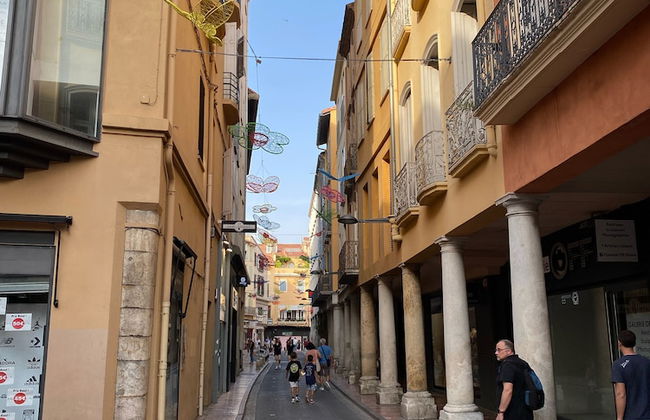 Au Coeur de Perpignan - Foto 50