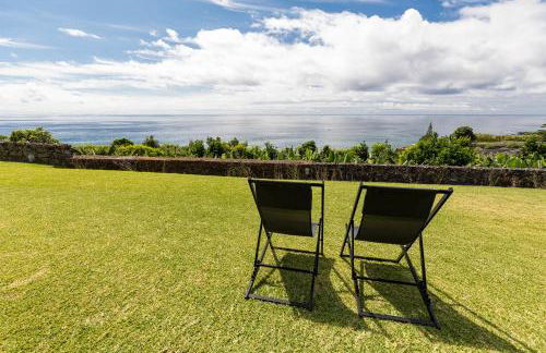 Guava Azores - Photo 6