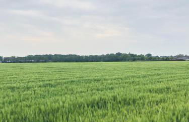 BEe HOME - Urlaubs und Business Loft - Foto 35