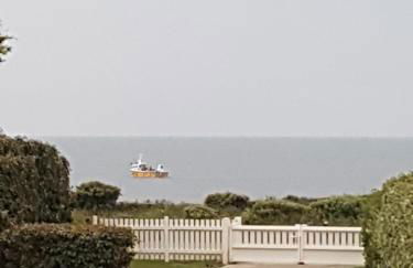 Les Avocettes - Foto 2