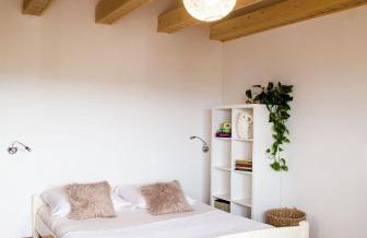 Miedzy Owcami Meeee - Foto 7