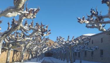 El Rincon del Moncayo - Photo 4