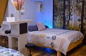 Grand gîte atypique - Foto 12