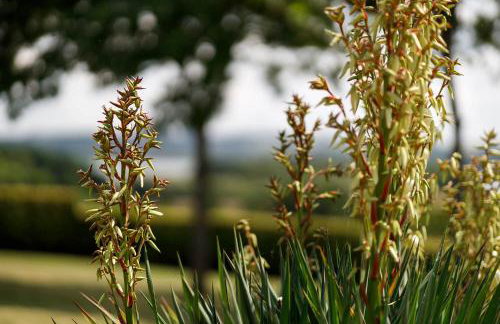 Kingsley Lake View - Foto 46