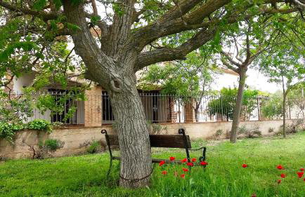Casa del Rio - Foto 49