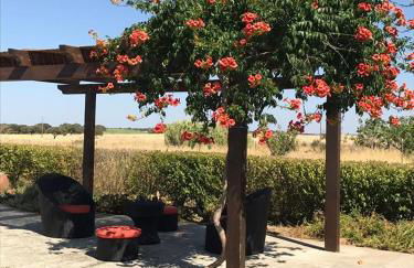 Monte de Sao Francisco - Foto 18