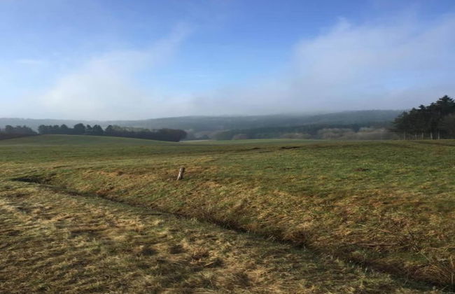 Spacious Holiday Home in Ulmen Near the Centre - Foto 35