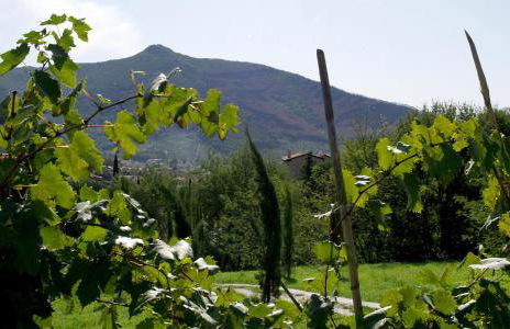 Al Palazzaccio - Foto 10