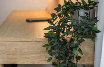 STAYLIGHT - Celle am französischem Garten - Photo 70